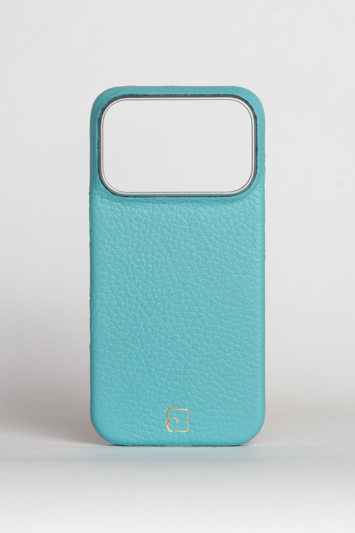 iPhone 16 Pro Max — Classic Case — Grained Calfskin